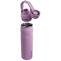 IceFlow™ Fast Flow Soğuk Su Termosu | 0.6L