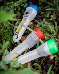 CAMPOUT EL FENERİ + FLAŞÖR